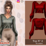Sims 4 Autumn Top 2