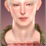 Блеск для губ Lips CC62 для Sims 4 Блеск для губ Lips CC62 для Sims 4